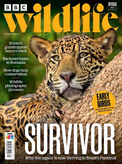 publication 2022 – bbc wildlife magazine