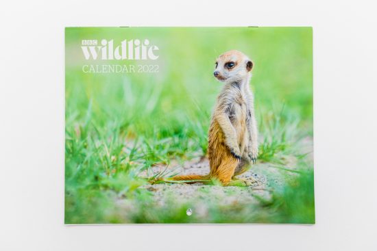 publication 2022 – calendrier 2022 bbc wildlife magazine