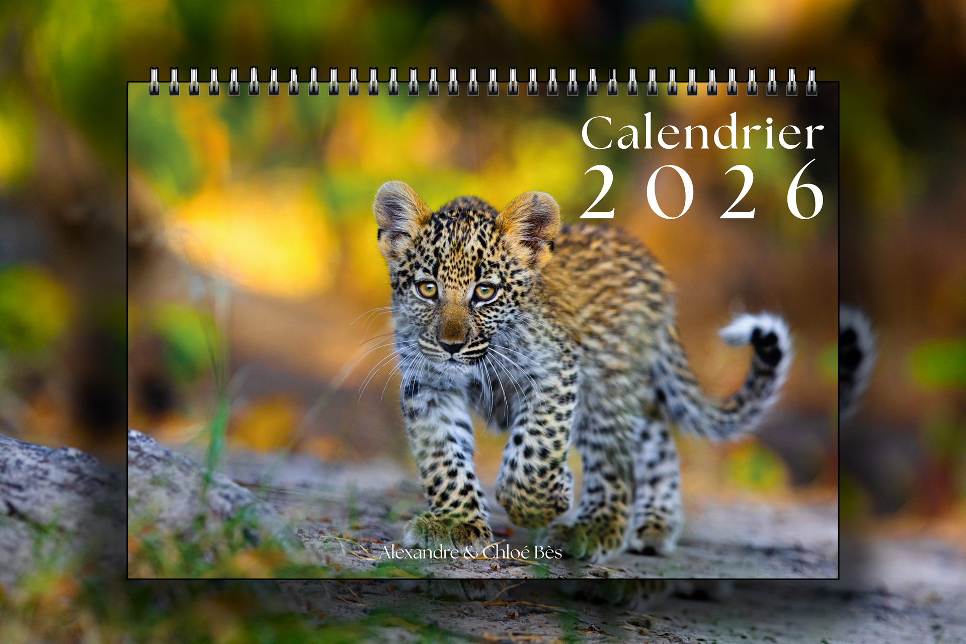 Calendrier 2026