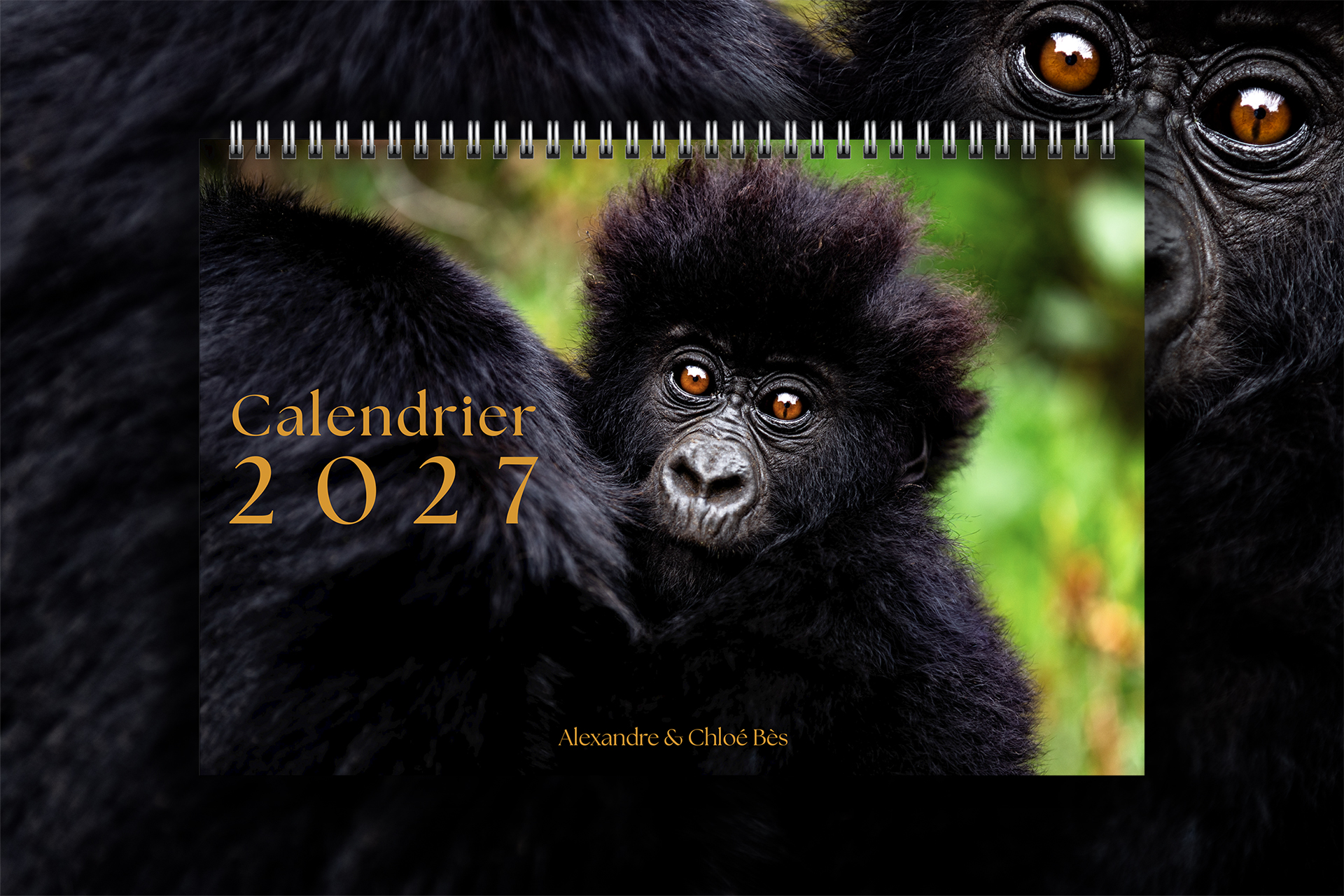 Calendrier 2027