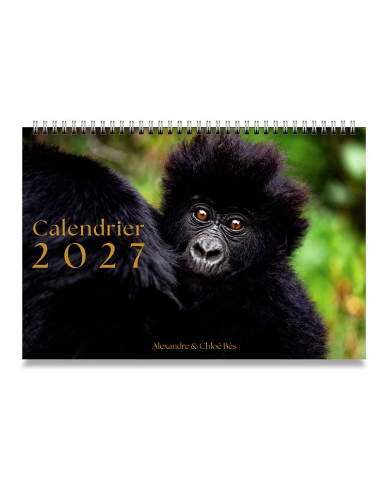 Calendrier 2027 pour la Fondation Bès