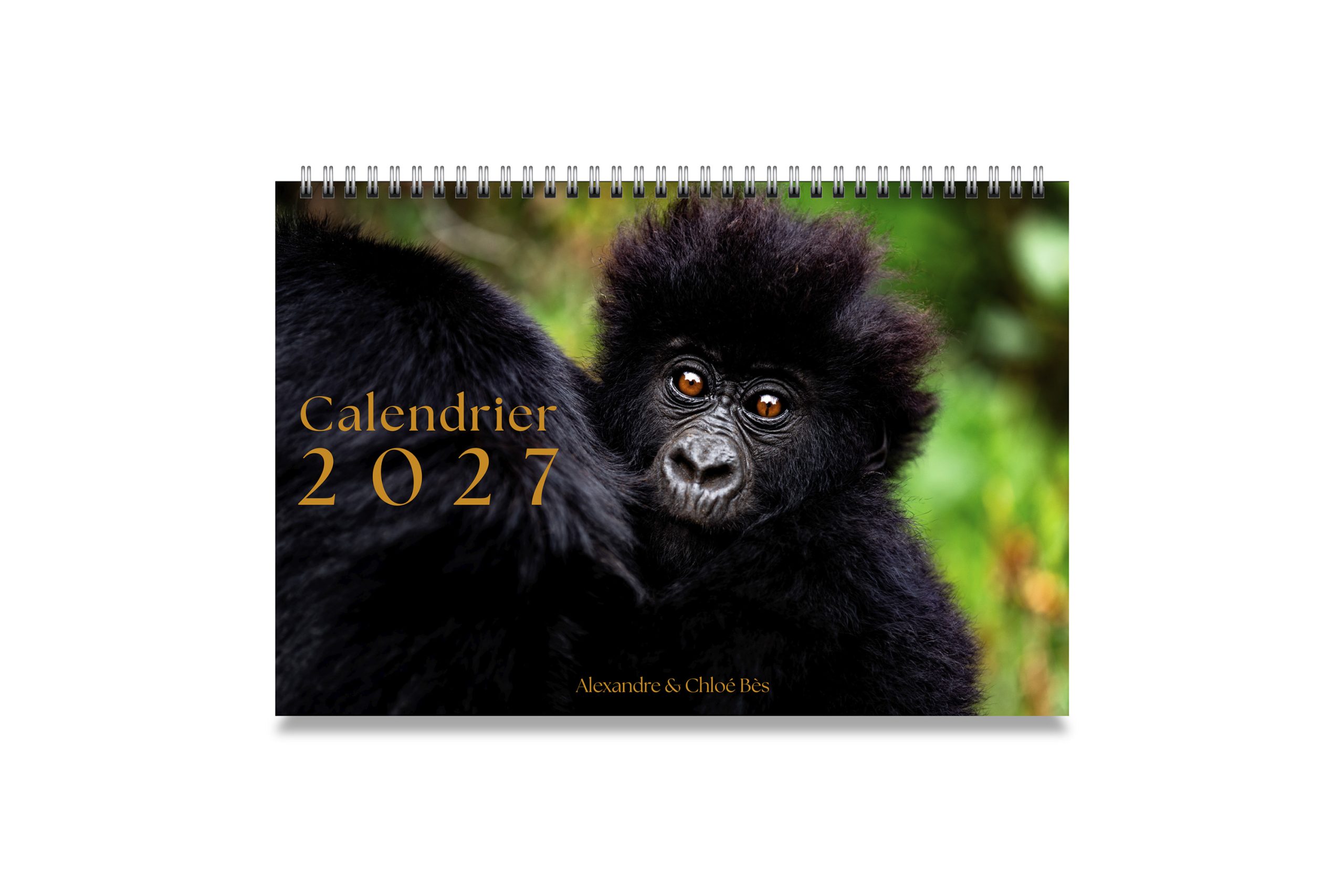 Calendrier 2027 Calendrier 2027