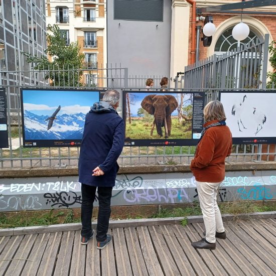 exposition septembre 2022