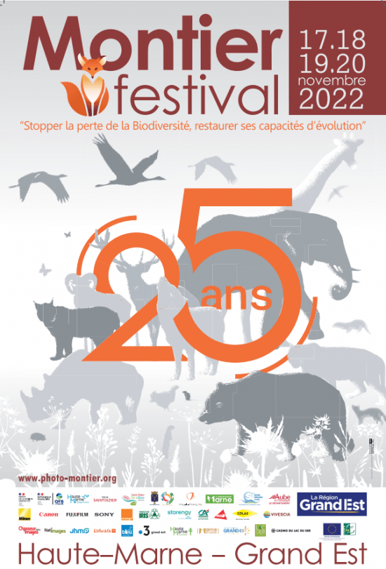 exposition au festival de Montier en der 2023