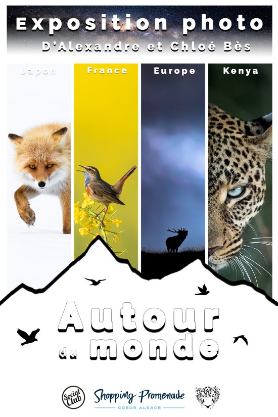 exposition au social market – coeur alsace 2023