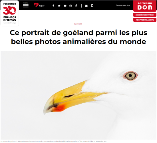publication 2022 – 30 millions d’amis