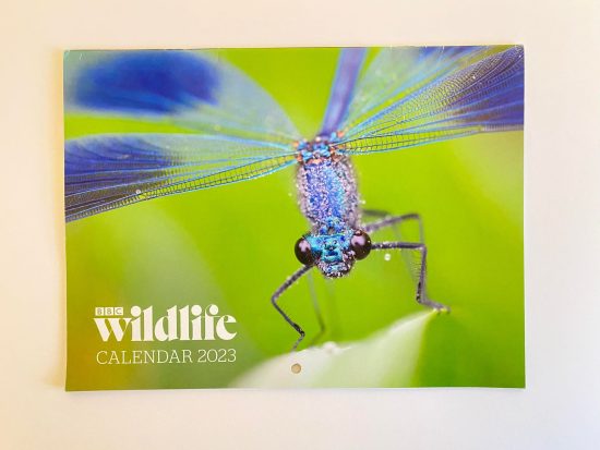 publication 2022 – calendrier 2023 bbc wildlife magazine