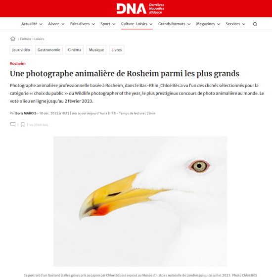 publication 2022 – les dernières nouvelles d’alsace