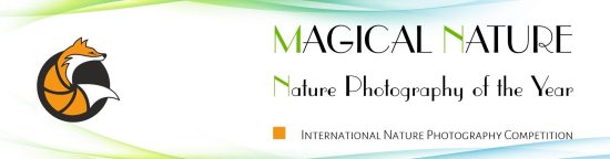 concours 2023 – magical nature