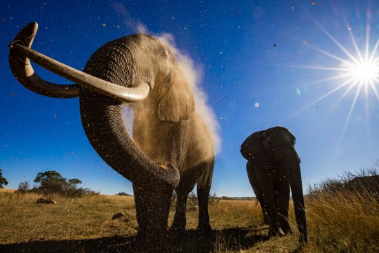 stage photo et volontariat au zimbabwe