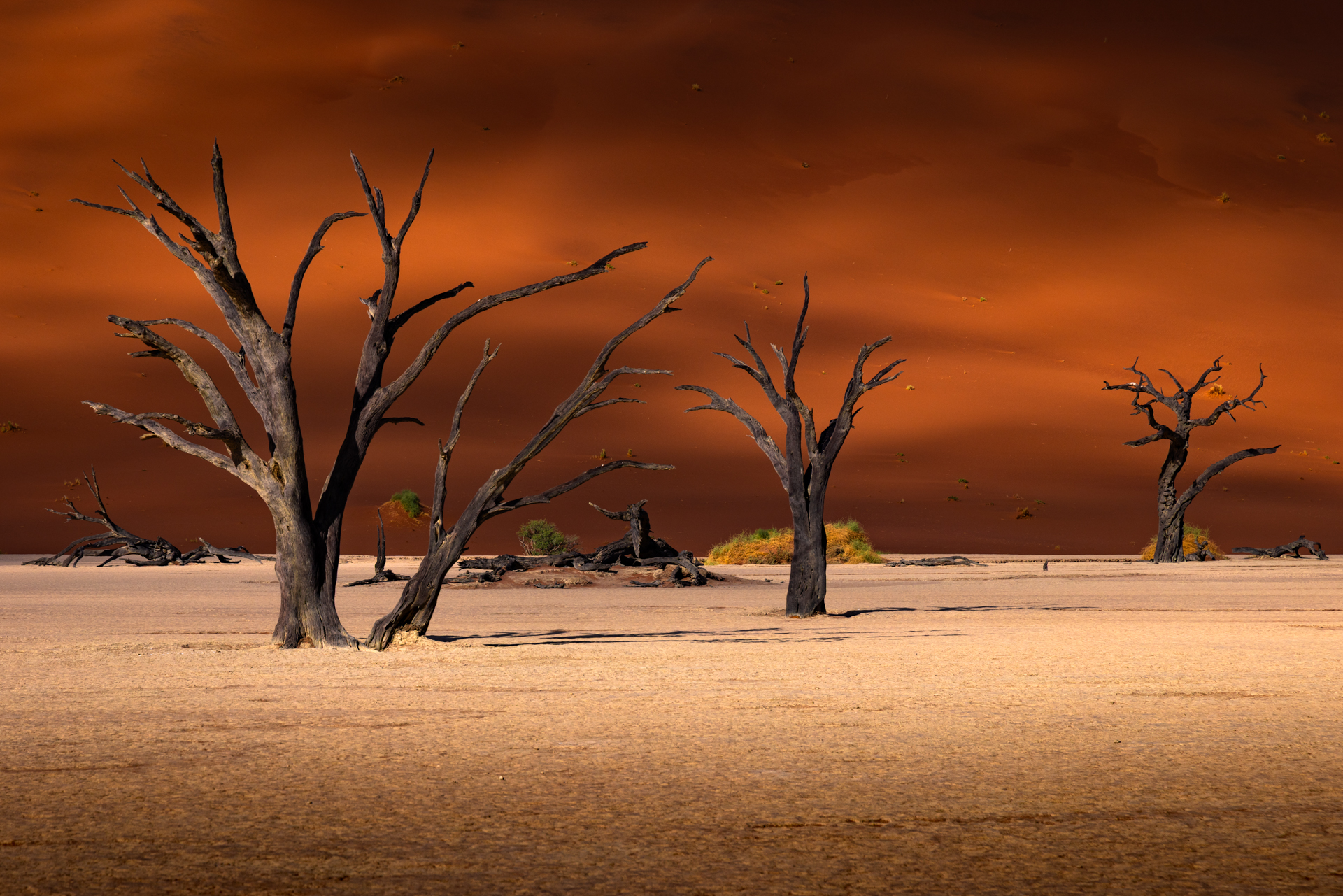 Namibie - 2025