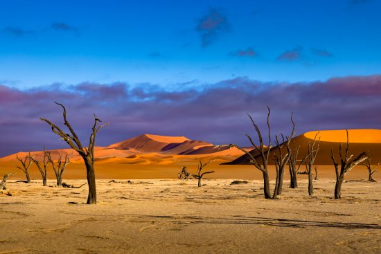 Voyage photo en Namibie