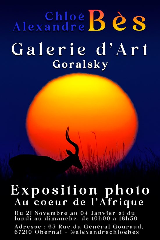 galerie d’art goralsky – obernai