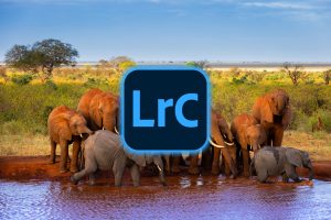 Formation Lightroom