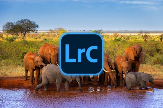 stage lightroom classic