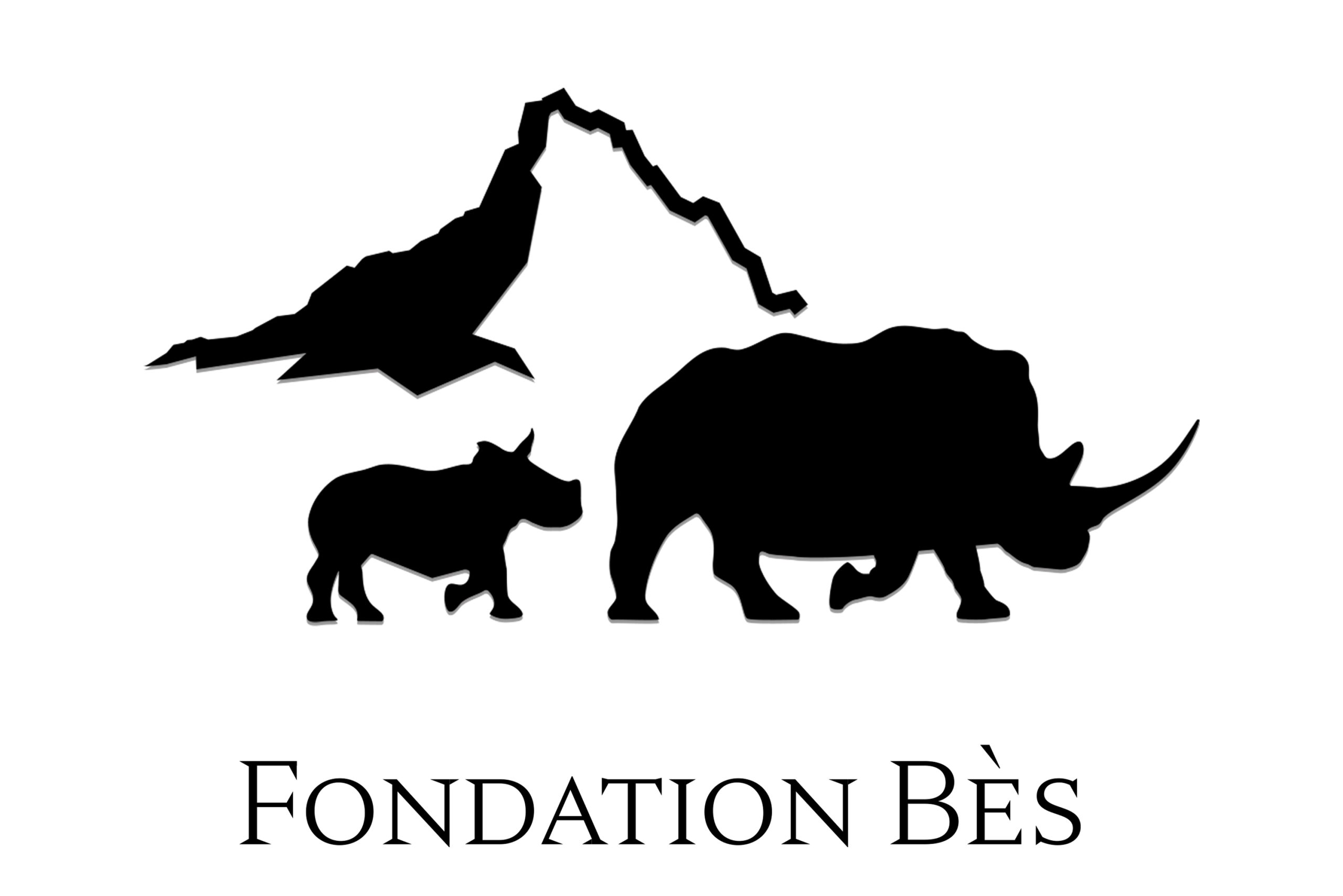 Matériel Photo Canon