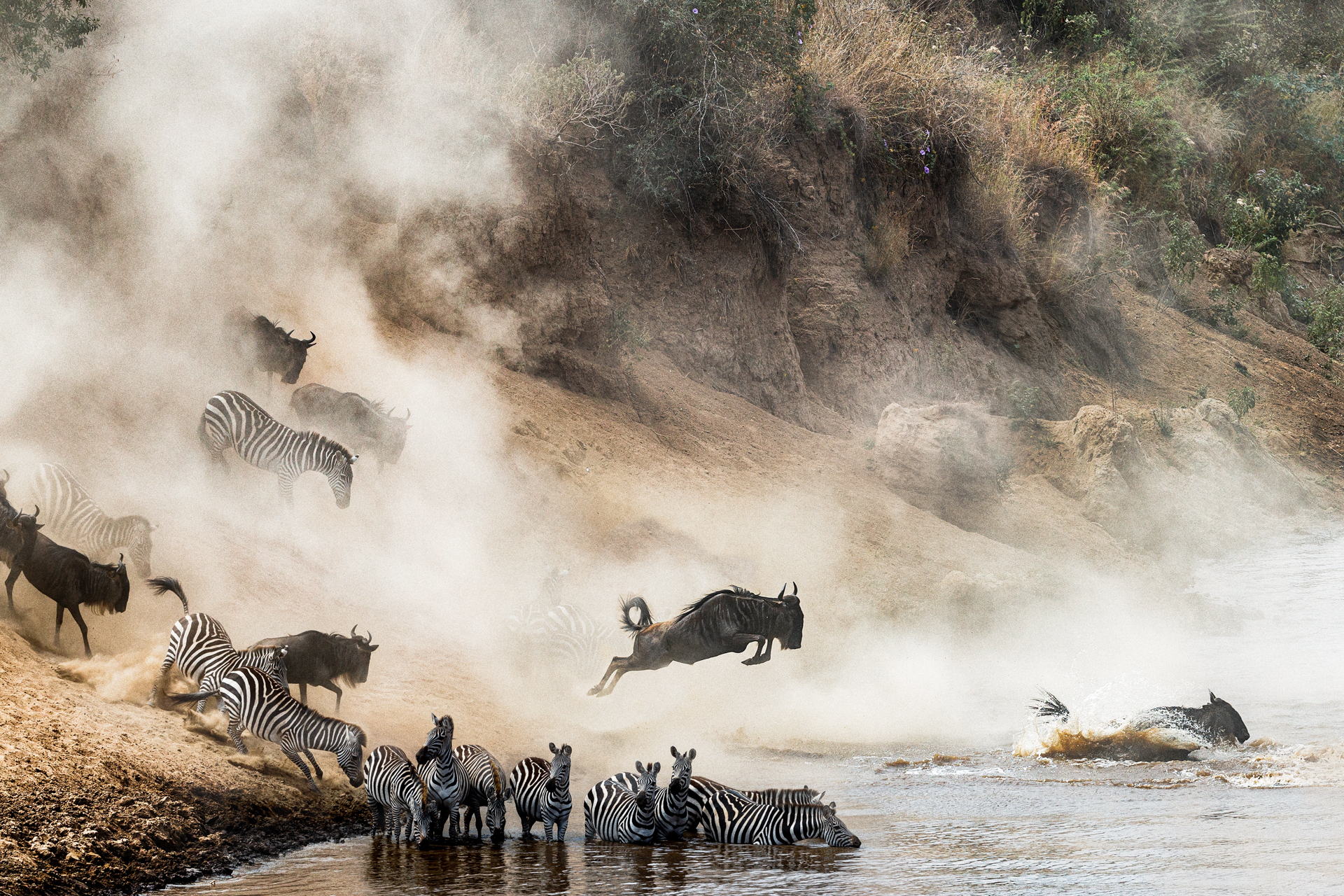Migration - Tanzanie